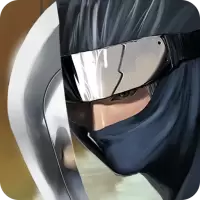 Ninja Revenge
