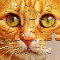 Jigsaw Puzzles games for adult