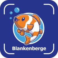 SeaScan Blankenberge