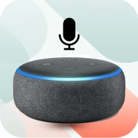 Echo Amazon Alexa Setup Guide