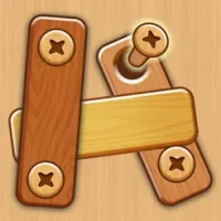 Nuts &amp; Bolts Woody Puzzle