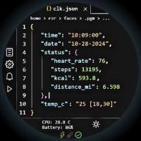 Programmer Watch Face