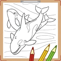 Whale and Shark Coloring Book