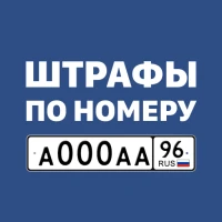 Штрафы с фото и ОСАГО онлайн