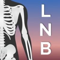 LoanBookings