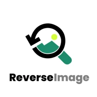 Reverse Image Search
