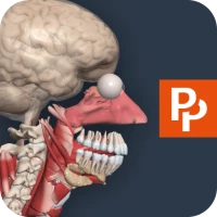 Primal’s 3D Human Anatomy Quiz