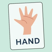 Human Body Part for Kids