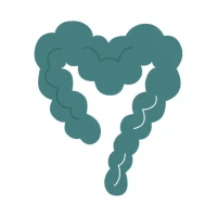 Belly Balance | IBS Program
