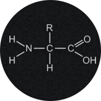 Amino Acids Quiz