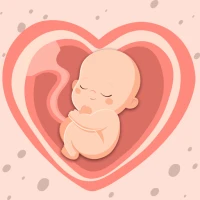 HiMommy: Ovulation & Pregnancy