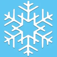 Snowflake Catch