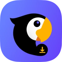 Teradownloader.com & Player