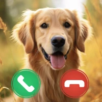 Dog Video Call – Prank Chat
