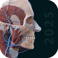 Anatomy 3D Atlas | Human Body