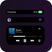 Dynamic Notification - Island