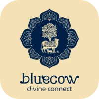 Bluecow : divine connect