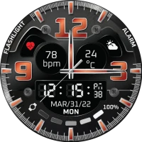 Ferrum Watch Face