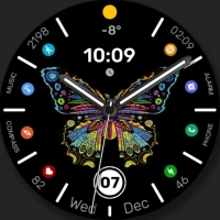 WFP 305 Butterfly watch face